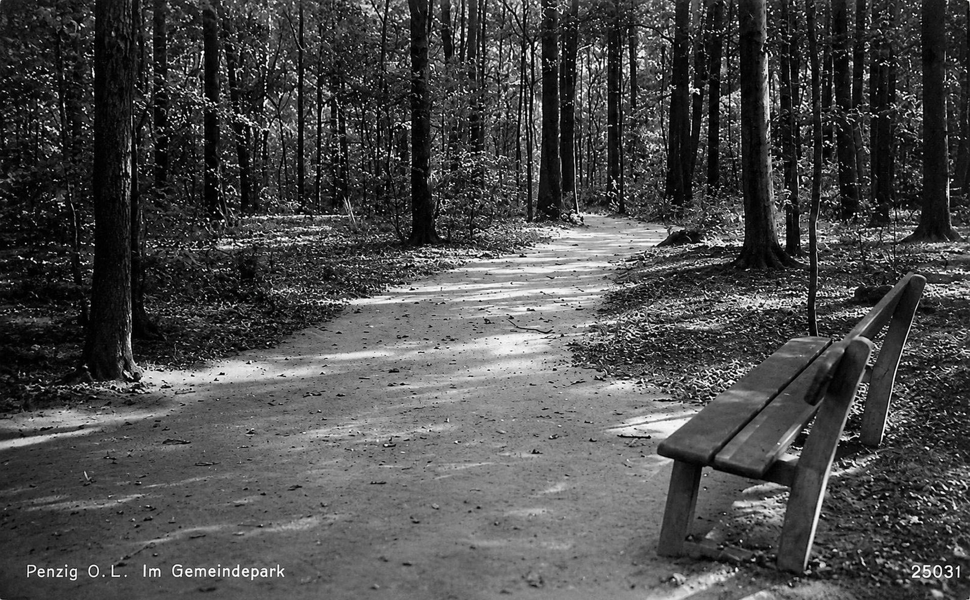 Park w Pieńsku dawniej