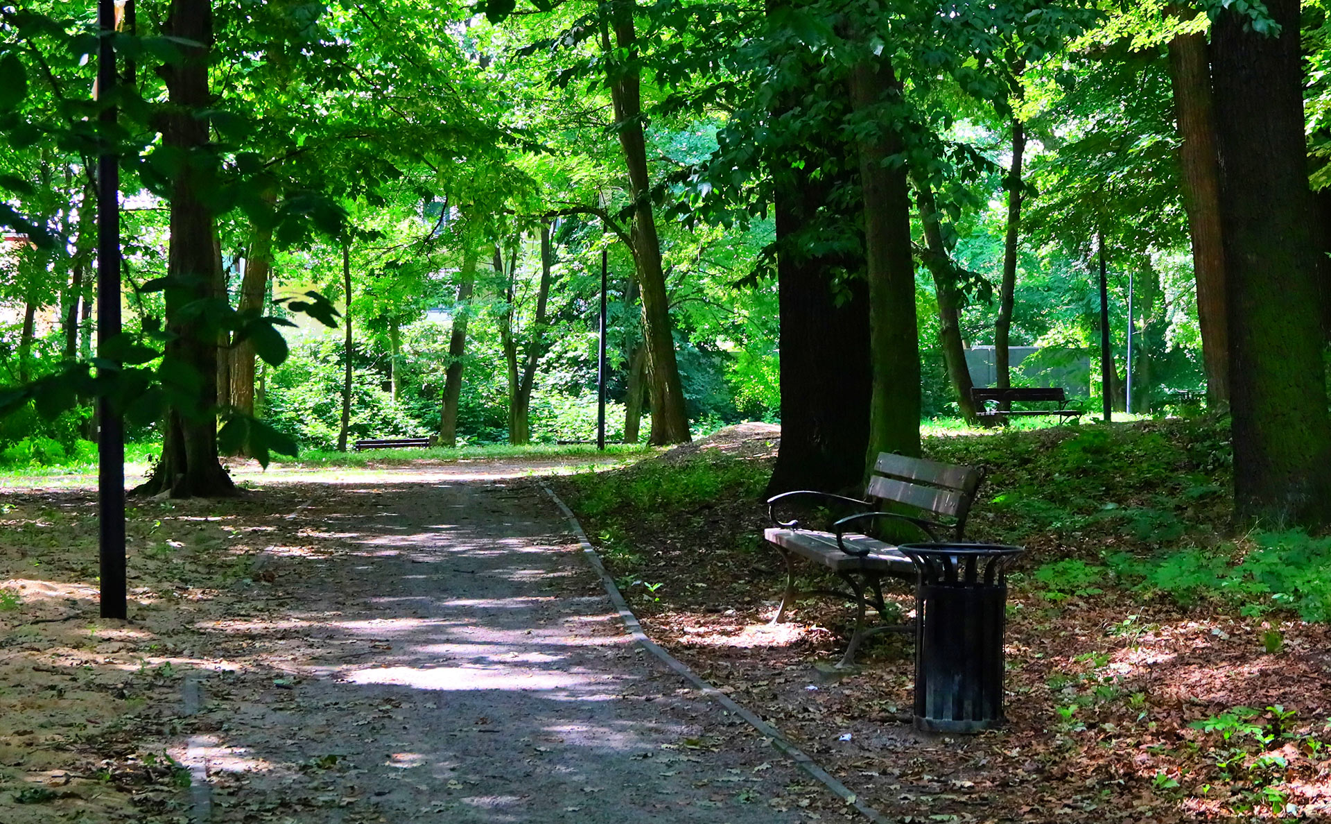 Park w Pieńsku dziś